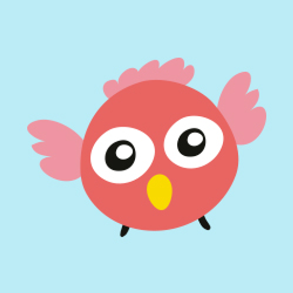 P&aacute;jaros