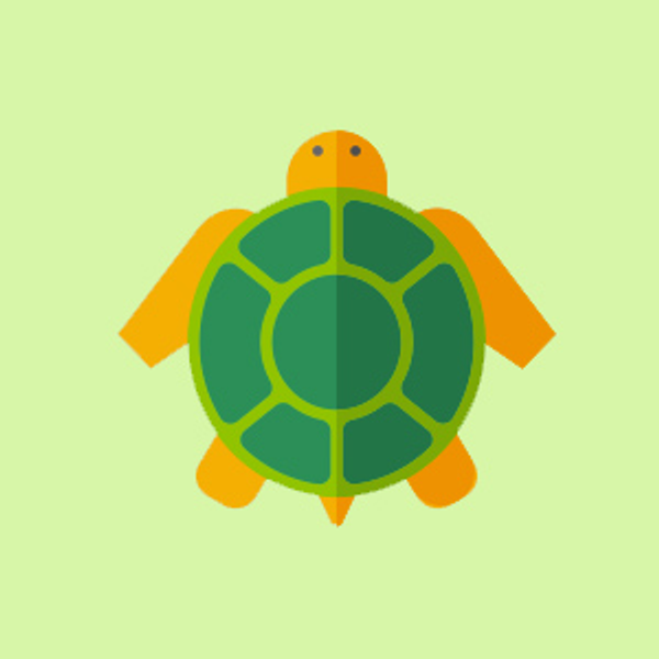 Tortugas