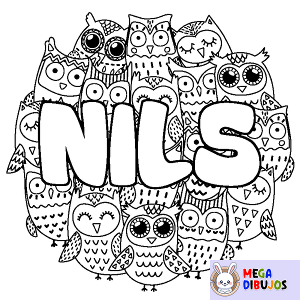 Coloraci&oacute;n del nombre NILS - decorado b&uacute;hos