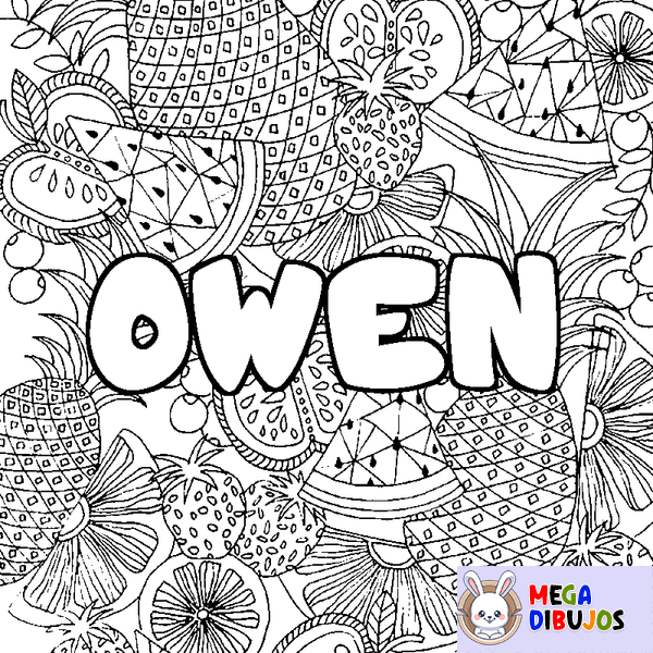 Coloraci&oacute;n del nombre OWEN - decorado mandala de frutas