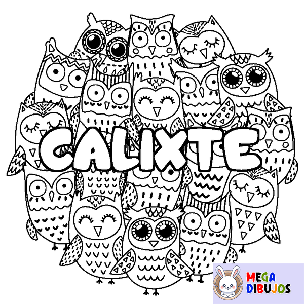 Coloraci&oacute;n del nombre CALIXTE - decorado b&uacute;hos