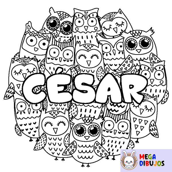 Coloraci&oacute;n del nombre C&Eacute;SAR - decorado b&uacute;hos