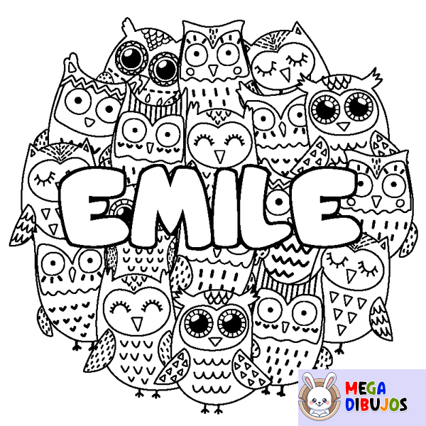 Coloraci&oacute;n del nombre EMILE - decorado b&uacute;hos
