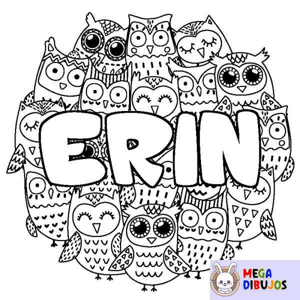 Coloraci&oacute;n del nombre ERIN - decorado b&uacute;hos