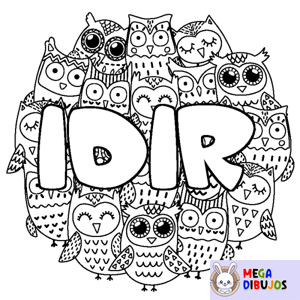 Coloraci&oacute;n del nombre IDIR - decorado b&uacute;hos