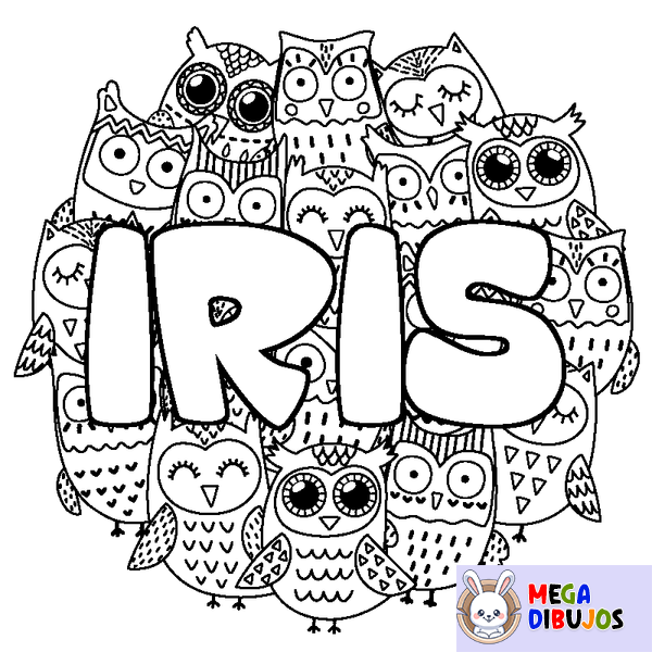 Coloraci&oacute;n del nombre IRIS - decorado b&uacute;hos