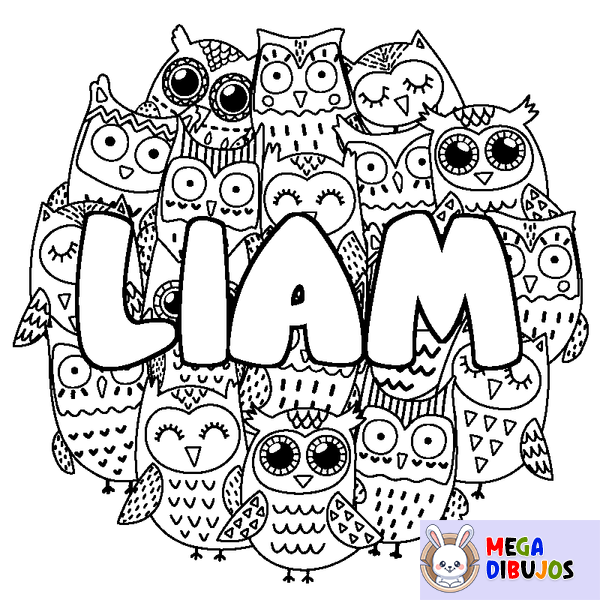 Coloraci&oacute;n del nombre LIAM - decorado b&uacute;hos