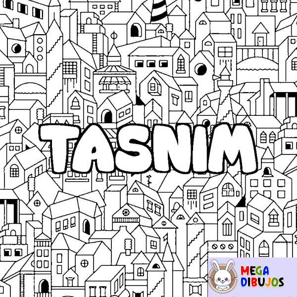 Coloraci&oacute;n del nombre TASNIM - decorado ciudad