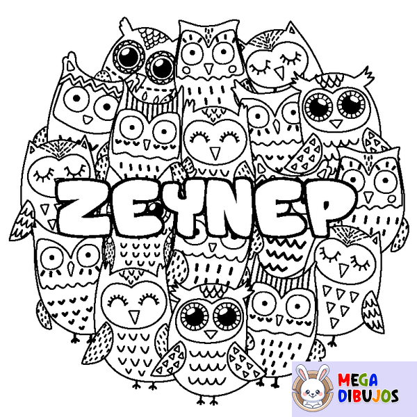 Coloraci&oacute;n del nombre ZEYNEP - decorado b&uacute;hos