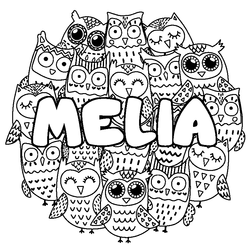 Coloraci&oacute;n del nombre MELIA - decorado b&uacute;hos