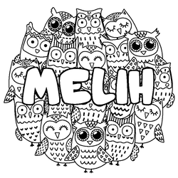 Coloraci&oacute;n del nombre MELIH - decorado b&uacute;hos