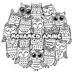 Coloraci&oacute;n del nombre MOHAMED-AMINE - decorado b&uacute;hos