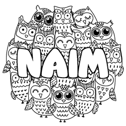 Coloraci&oacute;n del nombre NAIM - decorado b&uacute;hos