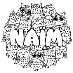 Coloraci&oacute;n del nombre NA&Iuml;M - decorado b&uacute;hos