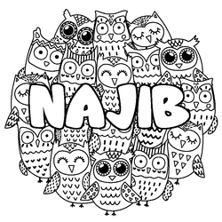 Coloraci&oacute;n del nombre NAJIB - decorado b&uacute;hos