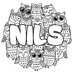 Coloraci&oacute;n del nombre NILS - decorado b&uacute;hos