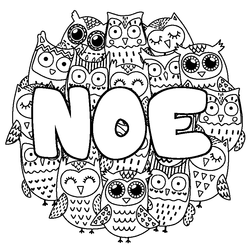 Coloraci&oacute;n del nombre NOE - decorado b&uacute;hos