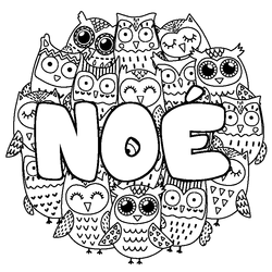Coloraci&oacute;n del nombre NO&Eacute; - decorado b&uacute;hos