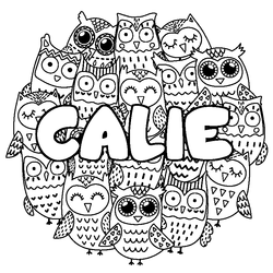 Coloraci&oacute;n del nombre CALIE - decorado b&uacute;hos