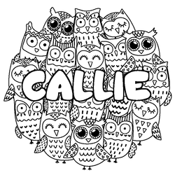 Coloraci&oacute;n del nombre CALLIE - decorado b&uacute;hos