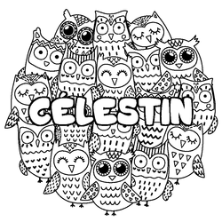 Coloraci&oacute;n del nombre C&Eacute;LESTIN - decorado b&uacute;hos