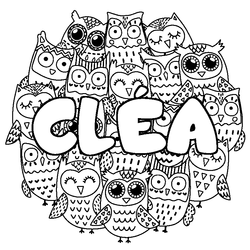 Coloraci&oacute;n del nombre CL&Eacute;A - decorado b&uacute;hos
