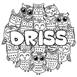 Coloraci&oacute;n del nombre DRISS - decorado b&uacute;hos