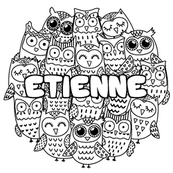 Coloraci&oacute;n del nombre ETIENNE - decorado b&uacute;hos