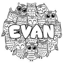 Coloraci&oacute;n del nombre EVAN - decorado b&uacute;hos