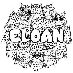 Coloraci&oacute;n del nombre ELOAN - decorado b&uacute;hos