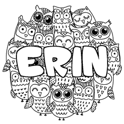 Coloraci&oacute;n del nombre ERIN - decorado b&uacute;hos