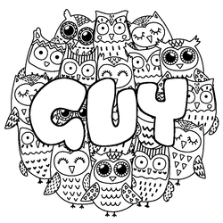 Coloraci&oacute;n del nombre GUY - decorado b&uacute;hos
