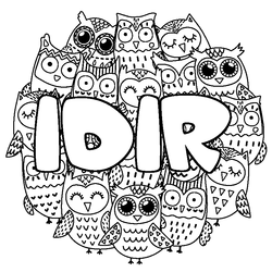 Coloraci&oacute;n del nombre IDIR - decorado b&uacute;hos