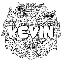 Coloraci&oacute;n del nombre K&Eacute;VIN - decorado b&uacute;hos