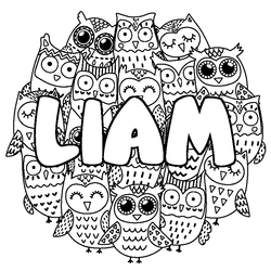 Coloraci&oacute;n del nombre LIAM - decorado b&uacute;hos