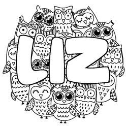 Coloraci&oacute;n del nombre LIZ - decorado b&uacute;hos