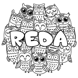 Coloraci&oacute;n del nombre REDA - decorado b&uacute;hos