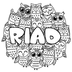Coloraci&oacute;n del nombre RIAD - decorado b&uacute;hos