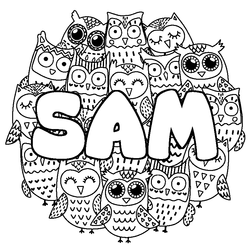 Coloraci&oacute;n del nombre SAM - decorado b&uacute;hos