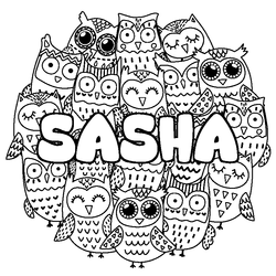 Coloraci&oacute;n del nombre SASHA - decorado b&uacute;hos