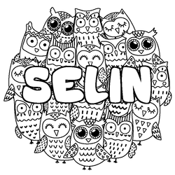 Coloraci&oacute;n del nombre SELIN - decorado b&uacute;hos
