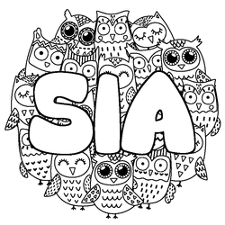 Coloraci&oacute;n del nombre SIA - decorado b&uacute;hos