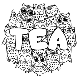 Coloraci&oacute;n del nombre TEA - decorado b&uacute;hos