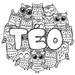 Coloraci&oacute;n del nombre T&Eacute;O - decorado b&uacute;hos