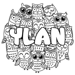 Coloraci&oacute;n del nombre YLAN - decorado b&uacute;hos