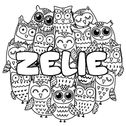 Coloraci&oacute;n del nombre Z&Eacute;LIE - decorado b&uacute;hos