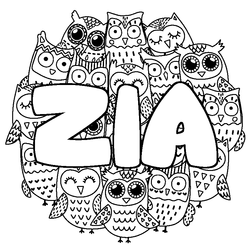 Coloraci&oacute;n del nombre ZIA - decorado b&uacute;hos