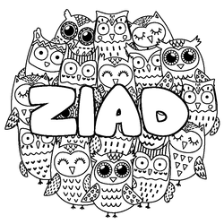 Coloraci&oacute;n del nombre ZIAD - decorado b&uacute;hos